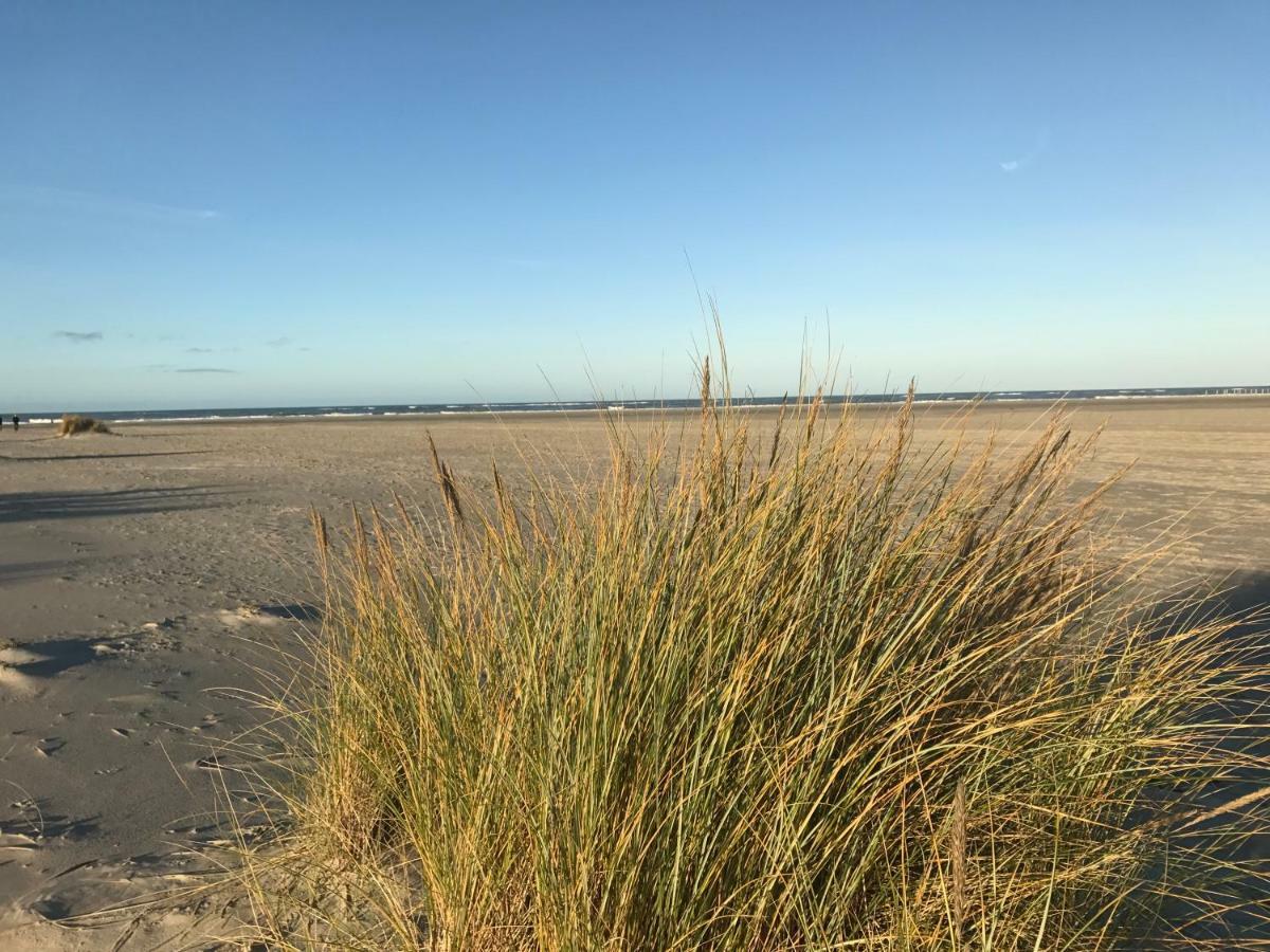 Strandlogement Om De Noord Schiermonnikoog Bagian luar foto